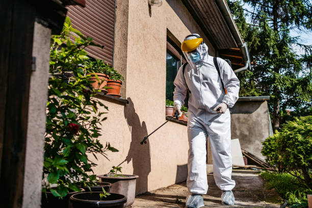 Best Residential Pest Control  in Ashville, AL