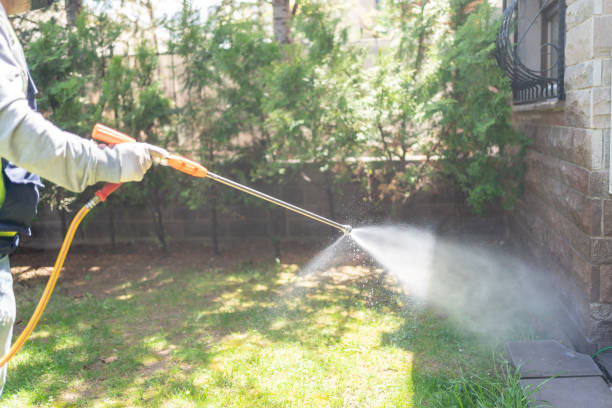 Best Rodent Control Near Me  in Ashville, AL