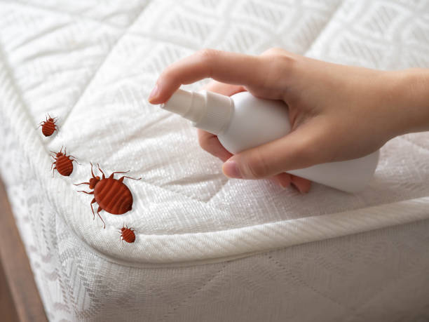 Best Flea Control Services  in Ashville, AL