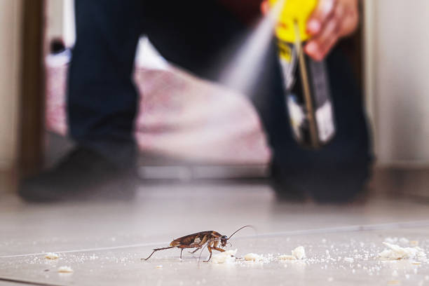 Best Best Pest Control Companies  in Ashville, AL