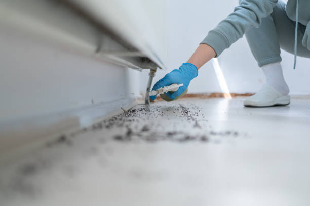 Best Bed Bug Extermination  in Ashville, AL