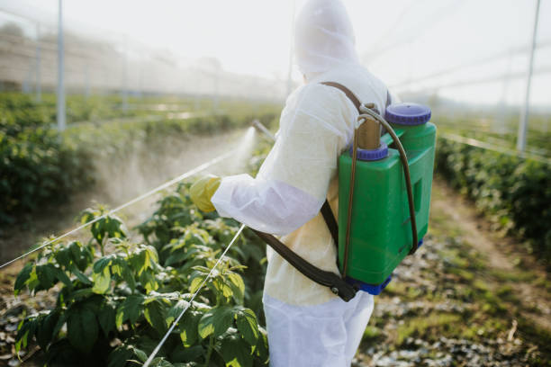 Best Pest Control Near Me  in Ashville, AL